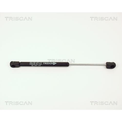 TRISCAN Gasfeder, Koffer-/Laderaum
