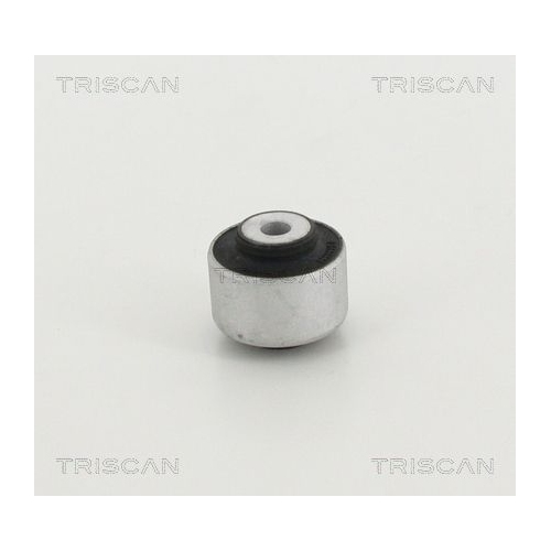 TRISCAN Lagerung, Lenker