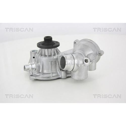 TRISCAN Wasserpumpe