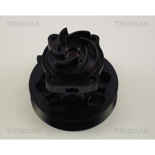 TRISCAN Wasserpumpe