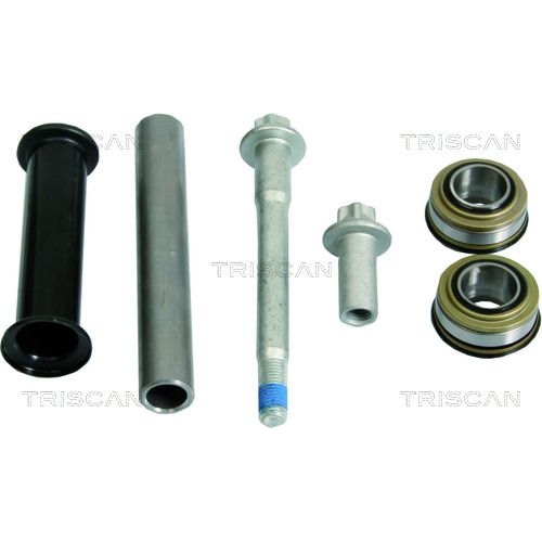 TRISCAN Reparatursatz, Querlenker