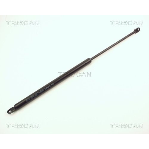 TRISCAN Gasfeder, Koffer-/Laderaum