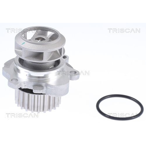 TRISCAN Wasserpumpe