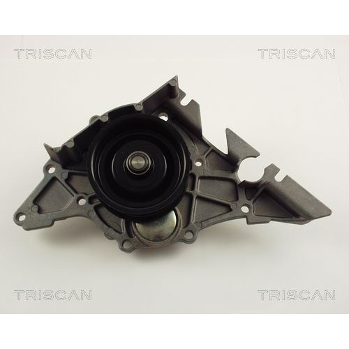 TRISCAN Wasserpumpe