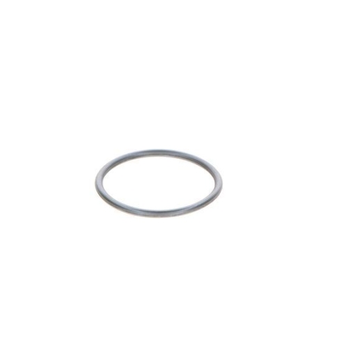 BOSCH Dichtring