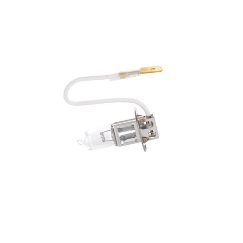 BOSCH Gl&uuml;hlampe Trucklight