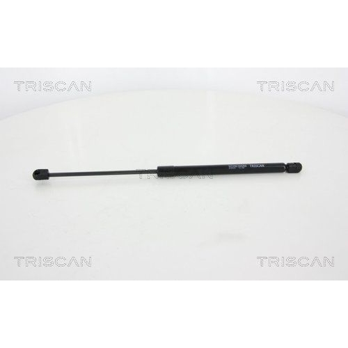 TRISCAN Gasfeder, Koffer-/Laderaum