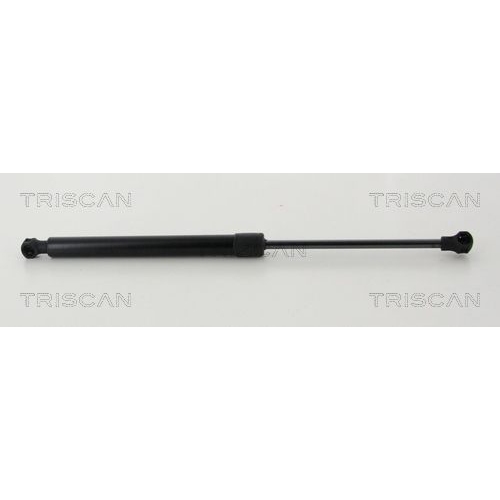 TRISCAN Gasfeder, Koffer-/Laderaum