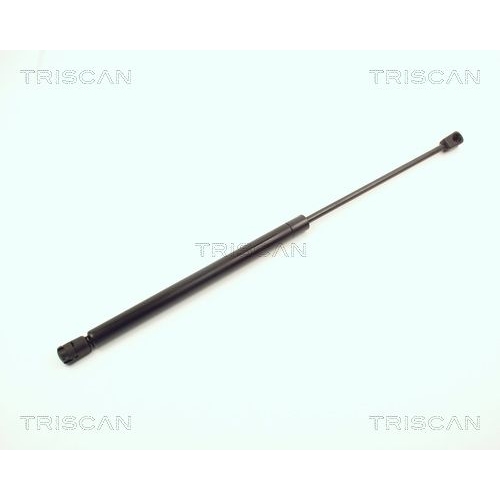 TRISCAN Gasfeder, Koffer-/Laderaum
