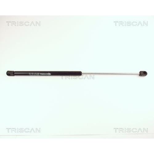 TRISCAN Gasfeder, Koffer-/Laderaum