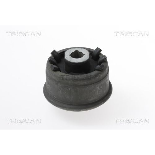 TRISCAN Lagerung, Lenker