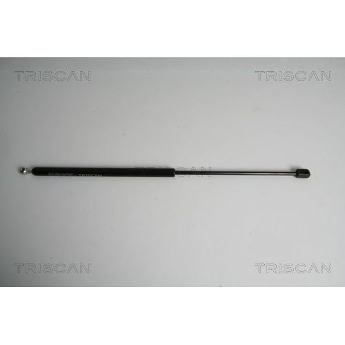 TRISCAN Gasfeder, Koffer-/Laderaum
