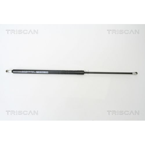 TRISCAN Gasfeder, Koffer-/Laderaum