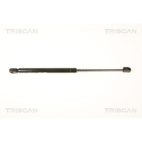 TRISCAN Gasfeder, Koffer-/Laderaum