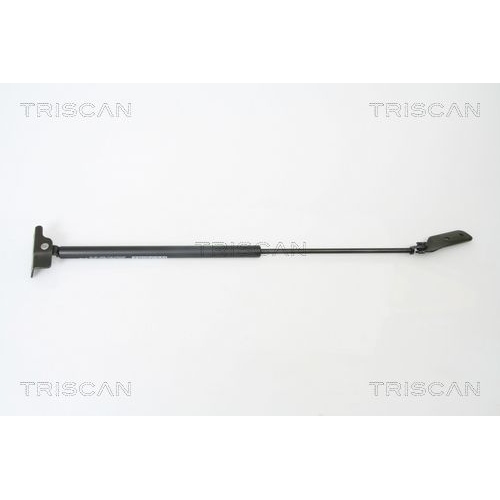 TRISCAN Gasfeder, Koffer-/Laderaum