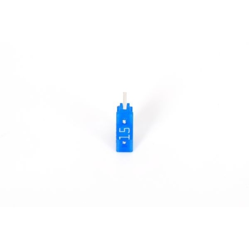 BOSCH Sicherung