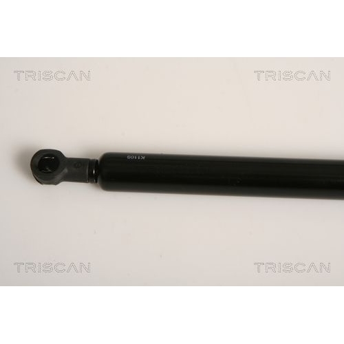 TRISCAN Gasfeder, Koffer-/Laderaum
