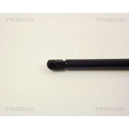 TRISCAN Gasfeder, Koffer-/Laderaum