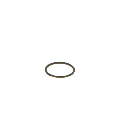 BOSCH Dichtring