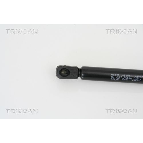 TRISCAN Gasfeder, Koffer-/Laderaum
