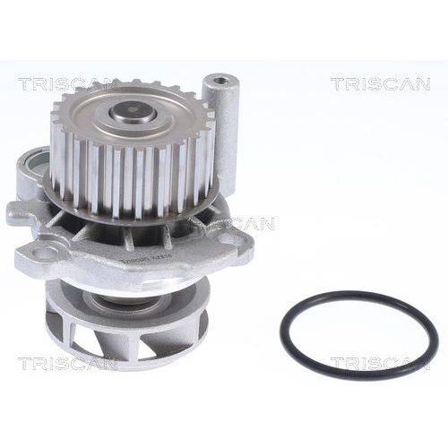 TRISCAN Wasserpumpe