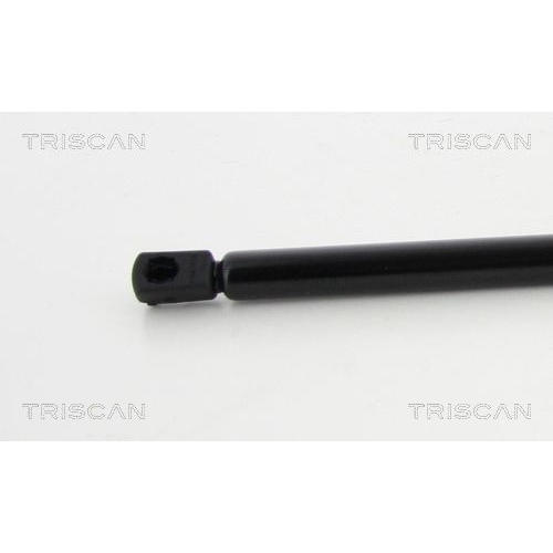 TRISCAN Gasfeder, Koffer-/Laderaum
