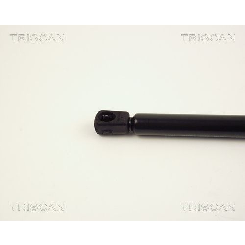TRISCAN Gasfeder, Koffer-/Laderaum