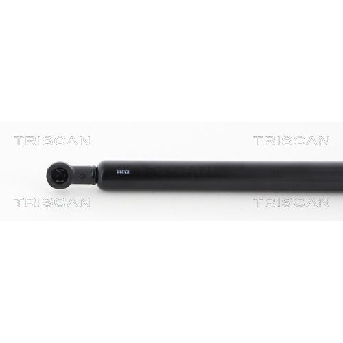 TRISCAN Gasfeder, Koffer-/Laderaum