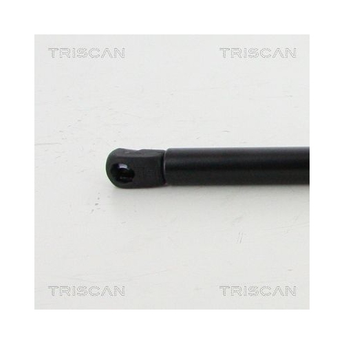 TRISCAN Gasfeder, Koffer-/Laderaum