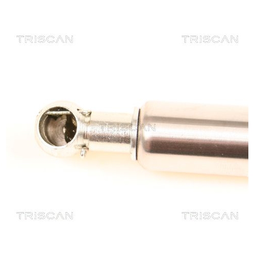 TRISCAN Gasfeder, Koffer-/Laderaum