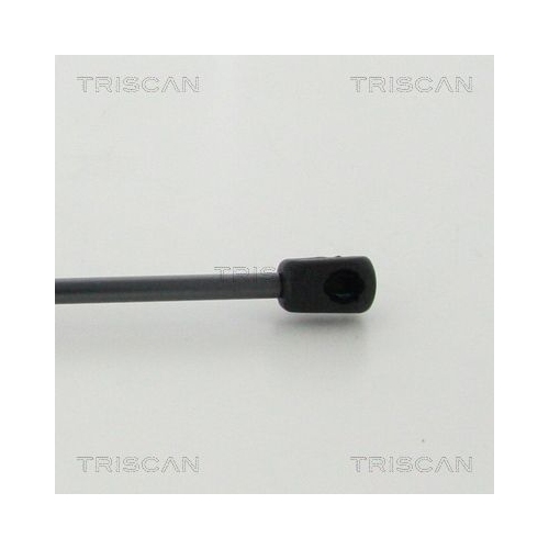 TRISCAN Gasfeder, Koffer-/Laderaum