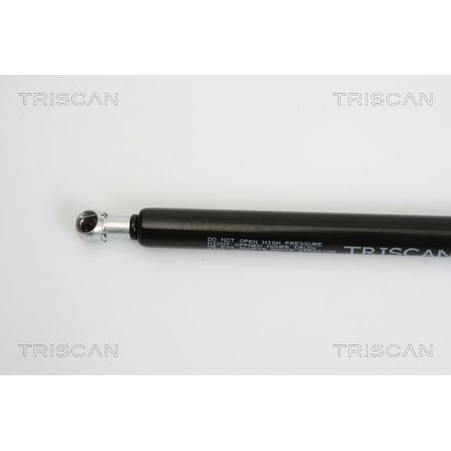 TRISCAN Gasfeder, Koffer-/Laderaum