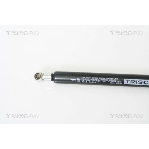 TRISCAN Gasfeder, Koffer-/Laderaum