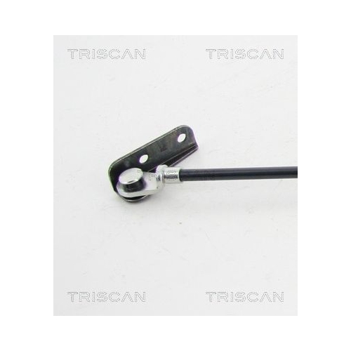 TRISCAN Gasfeder, Koffer-/Laderaum