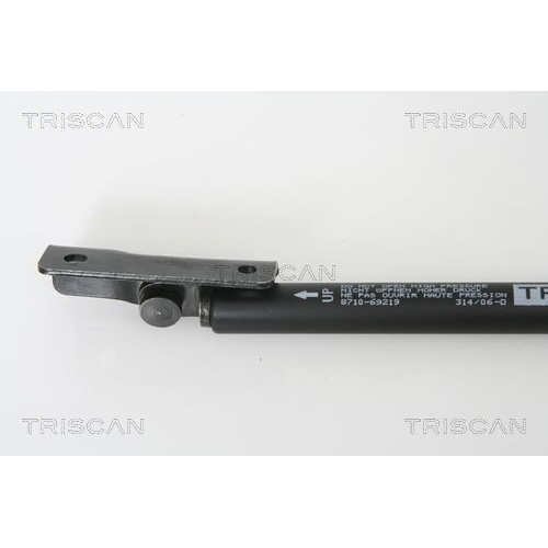 TRISCAN Gasfeder, Koffer-/Laderaum