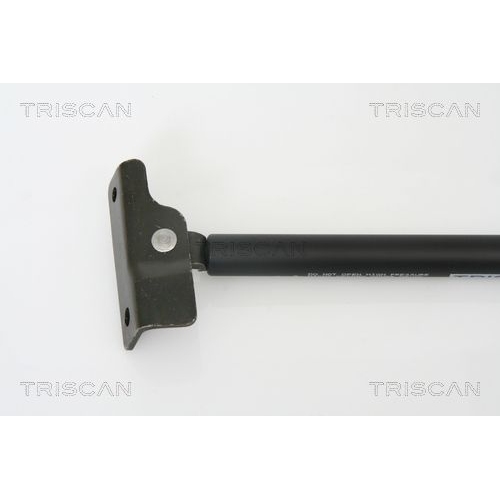 TRISCAN Gasfeder, Koffer-/Laderaum
