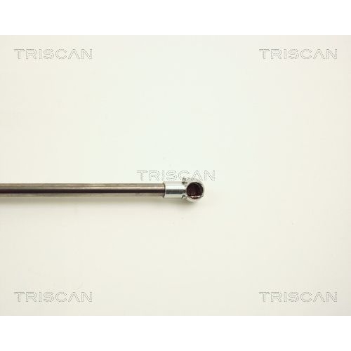 TRISCAN Gasfeder, Motorhaube