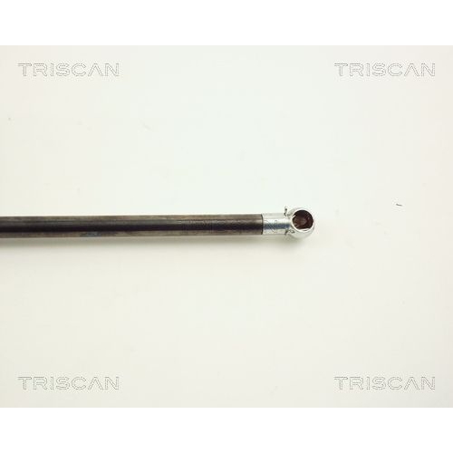 TRISCAN Gasfeder, Koffer-/Laderaum