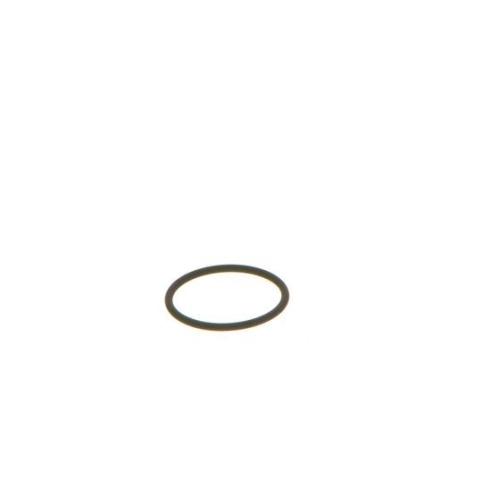 BOSCH Dichtring