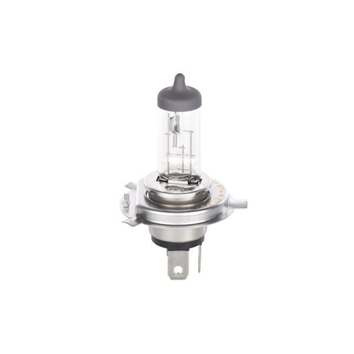 BOSCH Gl&uuml;hlampe, Fernscheinwerfer Longlife Daytime WS