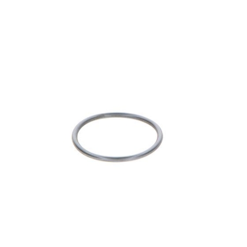 BOSCH Dichtring