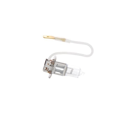 BOSCH Gl&uuml;hlampe Trucklight