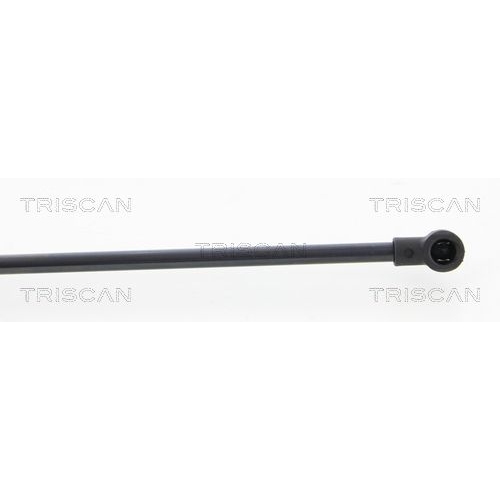TRISCAN Gasfeder, Koffer-/Laderaum
