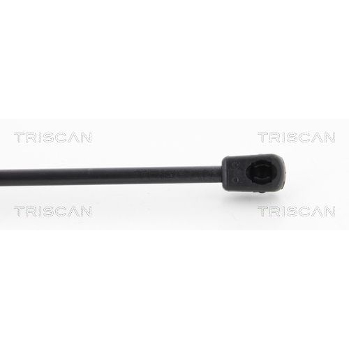 TRISCAN Gasfeder, Koffer-/Laderaum