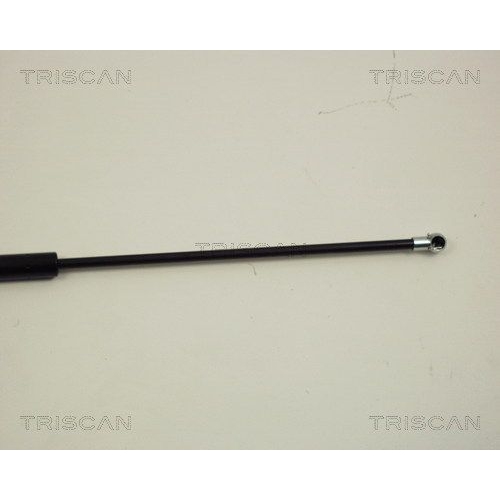 TRISCAN Gasfeder, Koffer-/Laderaum