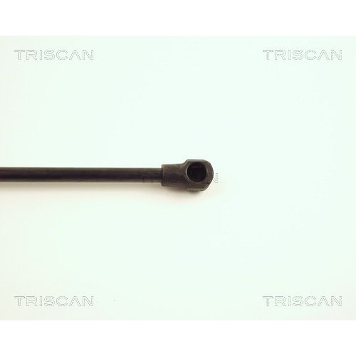 TRISCAN Gasfeder, Koffer-/Laderaum
