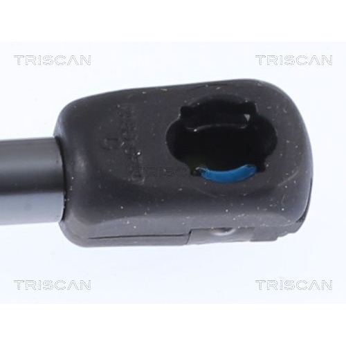 TRISCAN Gasfeder, Koffer-/Laderaum