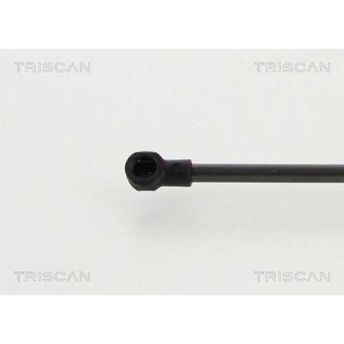 TRISCAN Gasfeder, Koffer-/Laderaum
