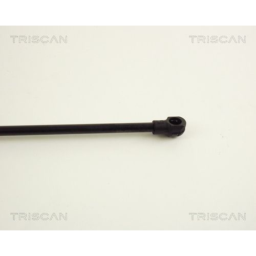 TRISCAN Gasfeder, Koffer-/Laderaum