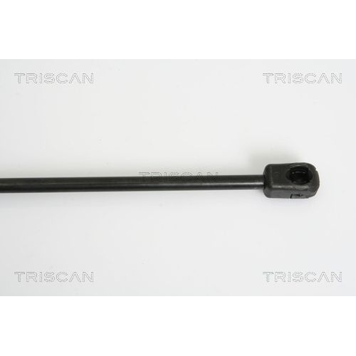 TRISCAN Gasfeder, Koffer-/Laderaum